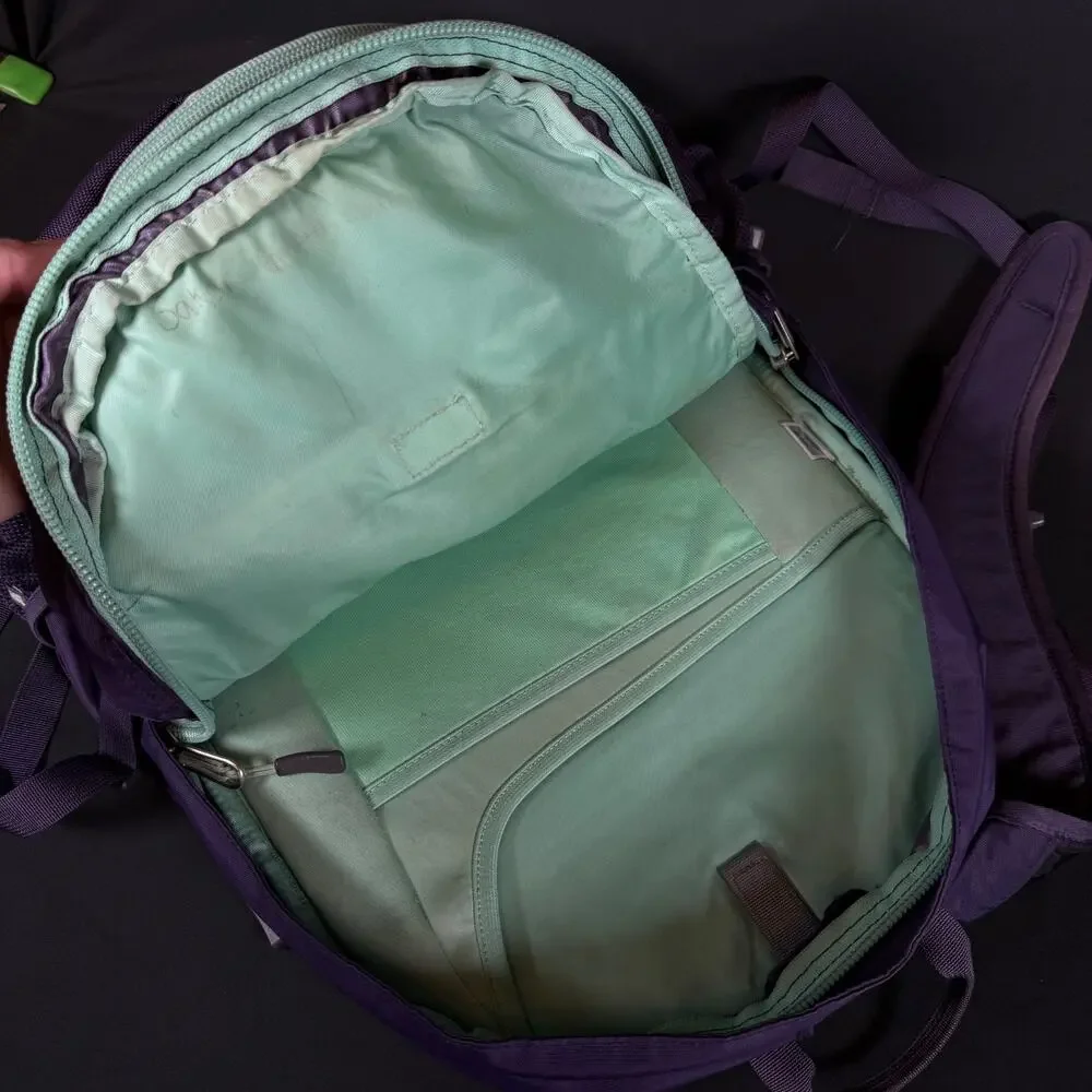The North Face Borealis School Laptop Backpack Purple & Teal